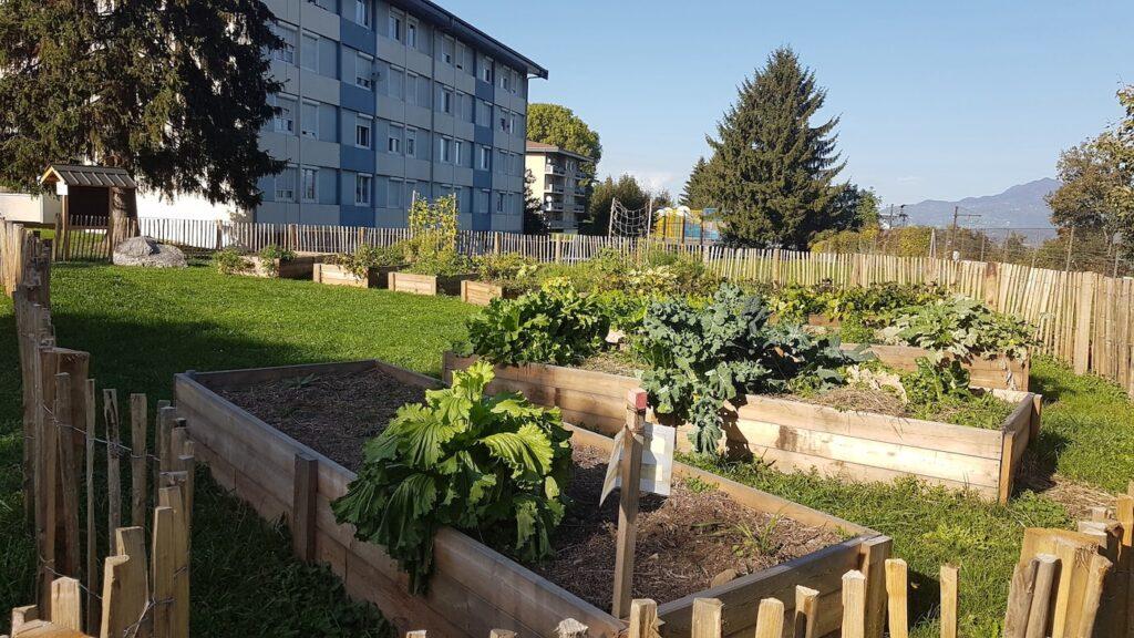 Potager d'un immeuble